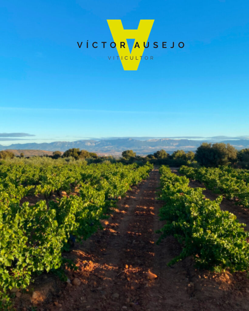 victorausejo