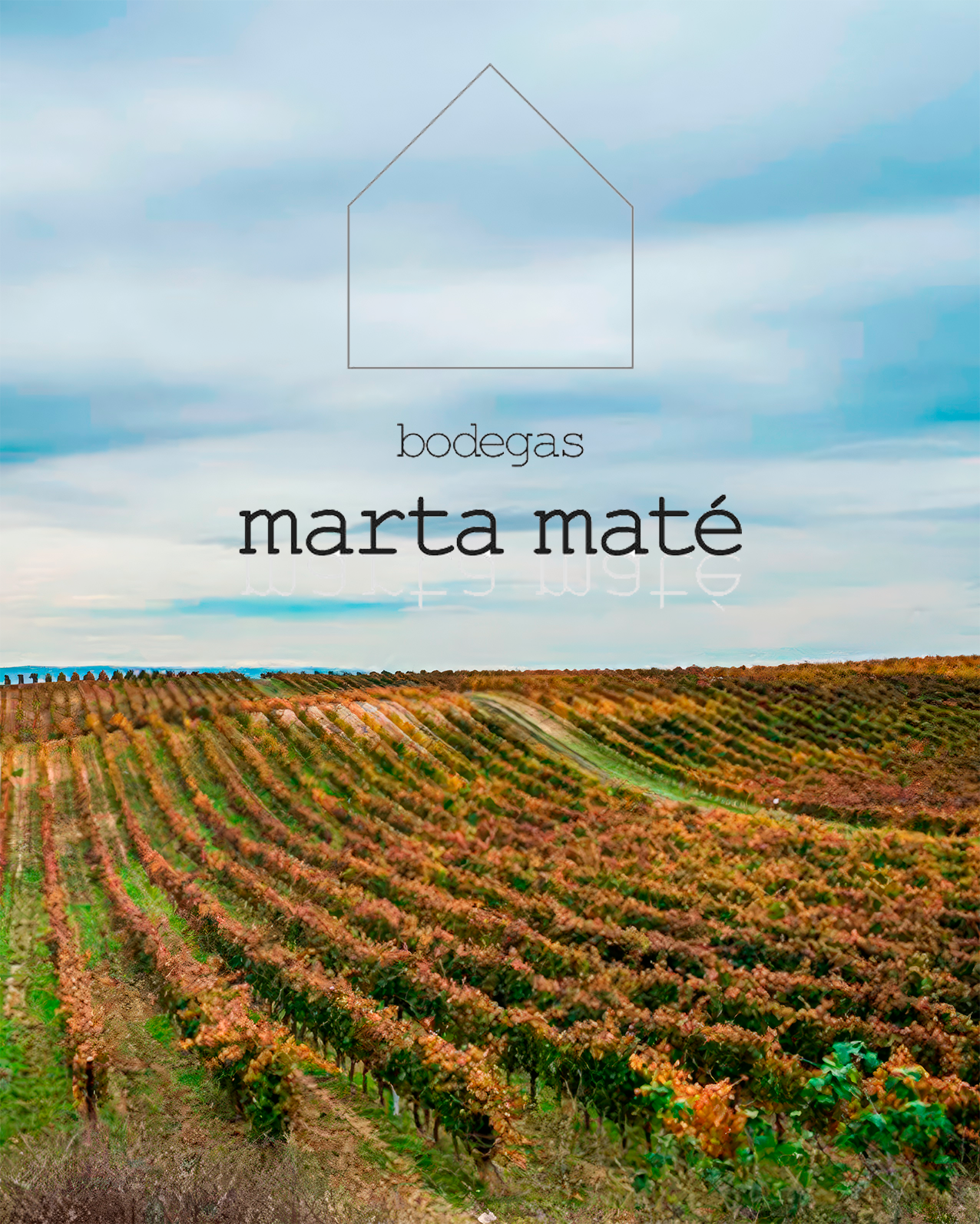 IMAGEN marta mate_