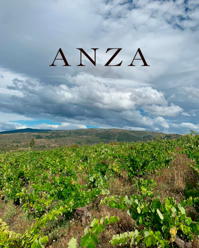 experiencia_ANZA_cast2