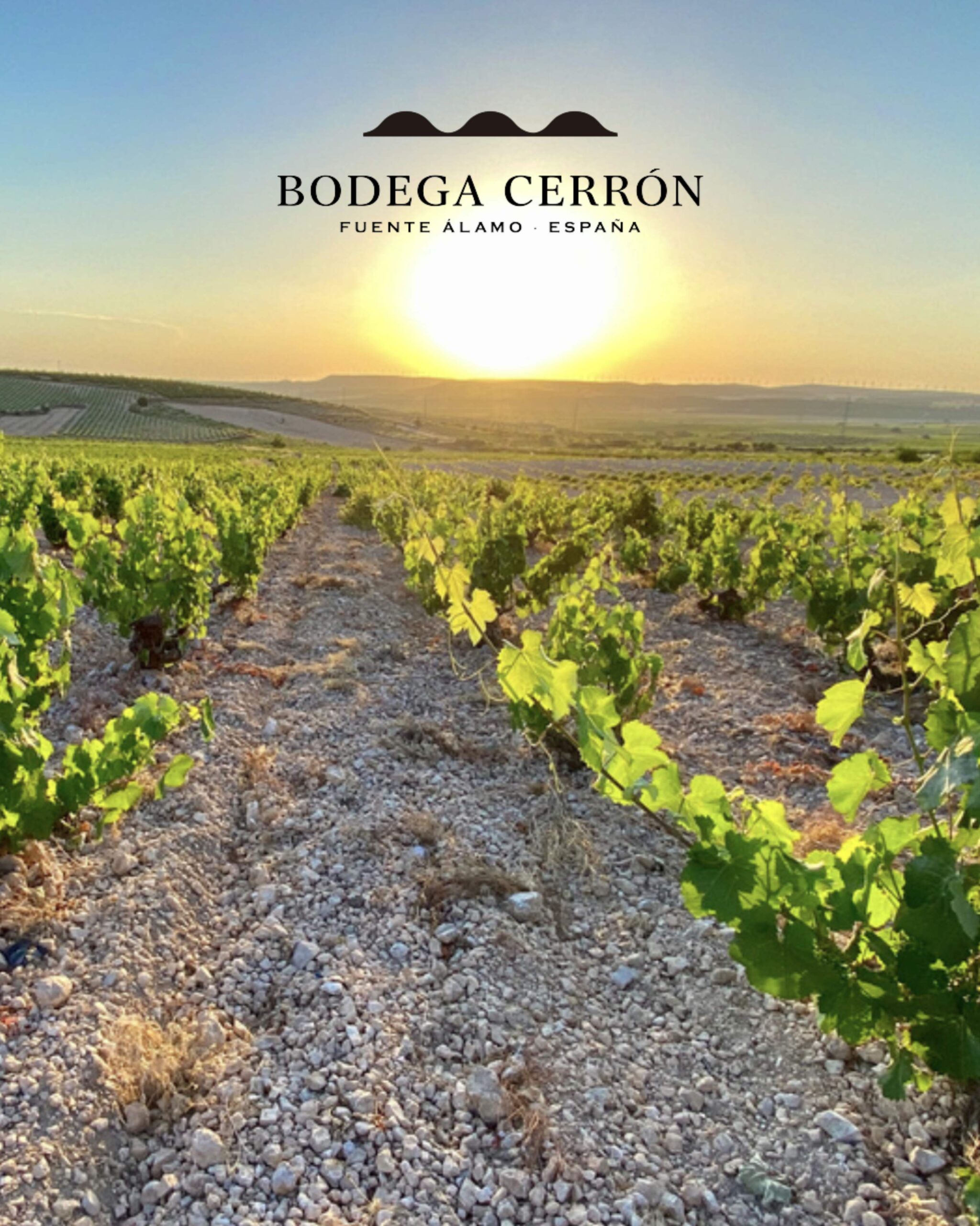 FOTO_Cerrón