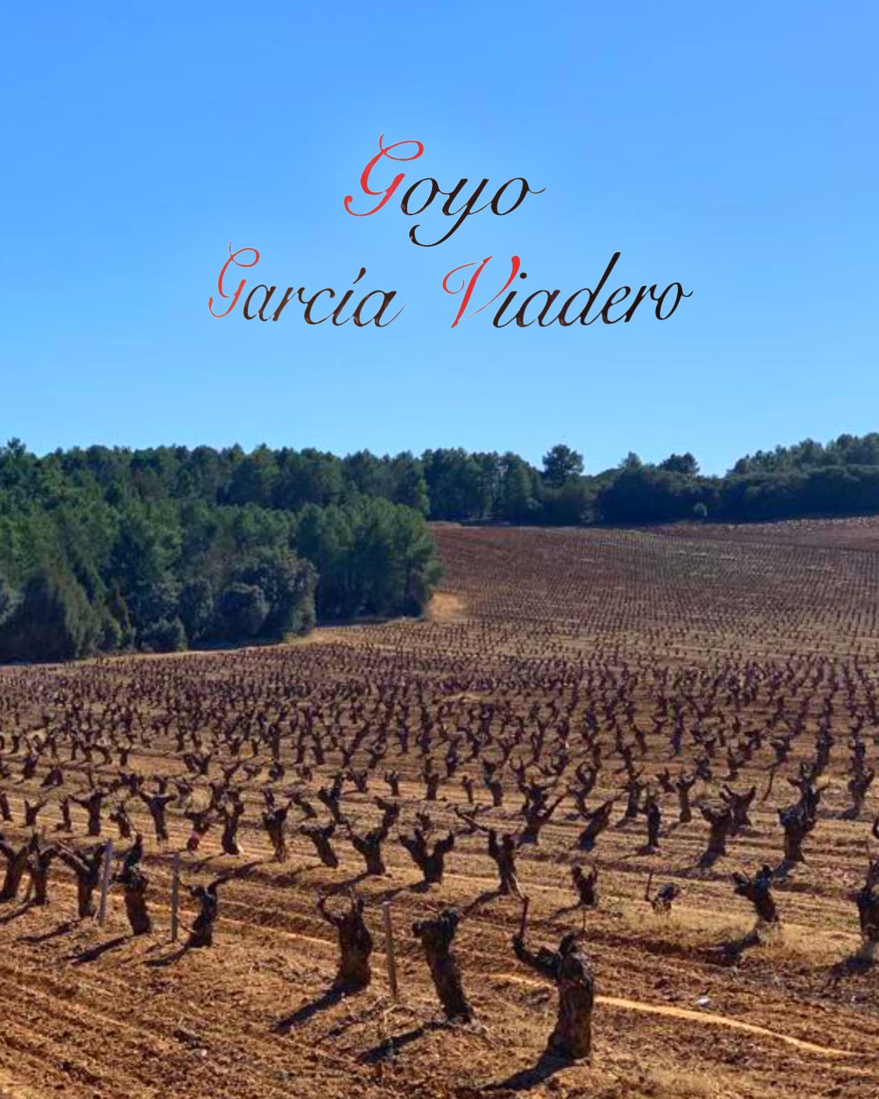 foto goyo garcia viadero