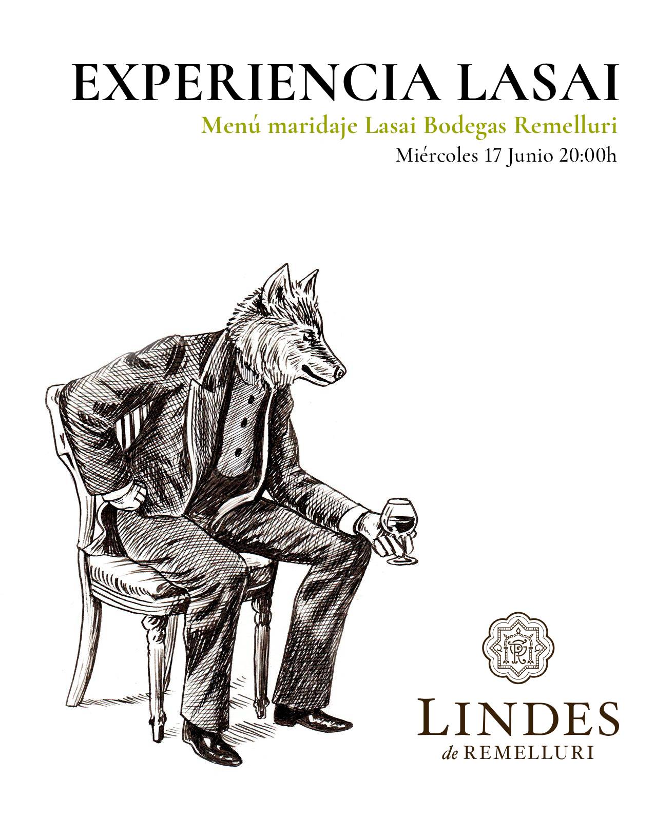 EXPERIENCIA REMELLURI_COVER (1)