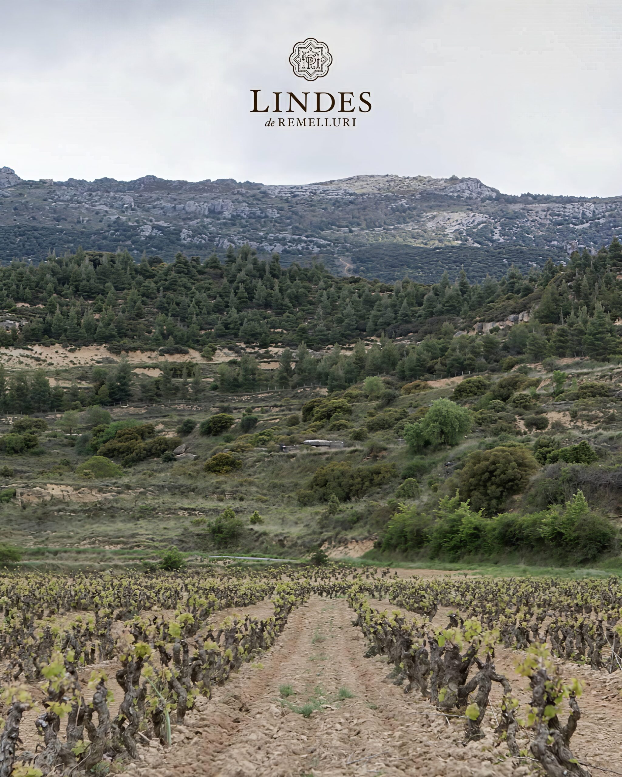 LINDES DE REMELLURI_foto