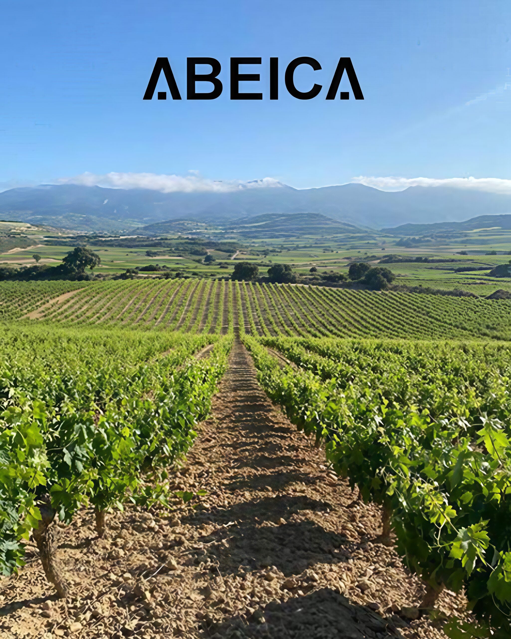 ABEICA_foto_experiencia