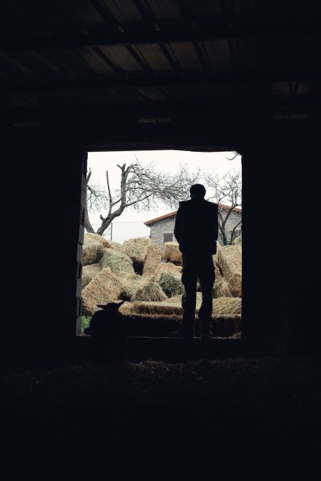 proyecto documental en entorno rural